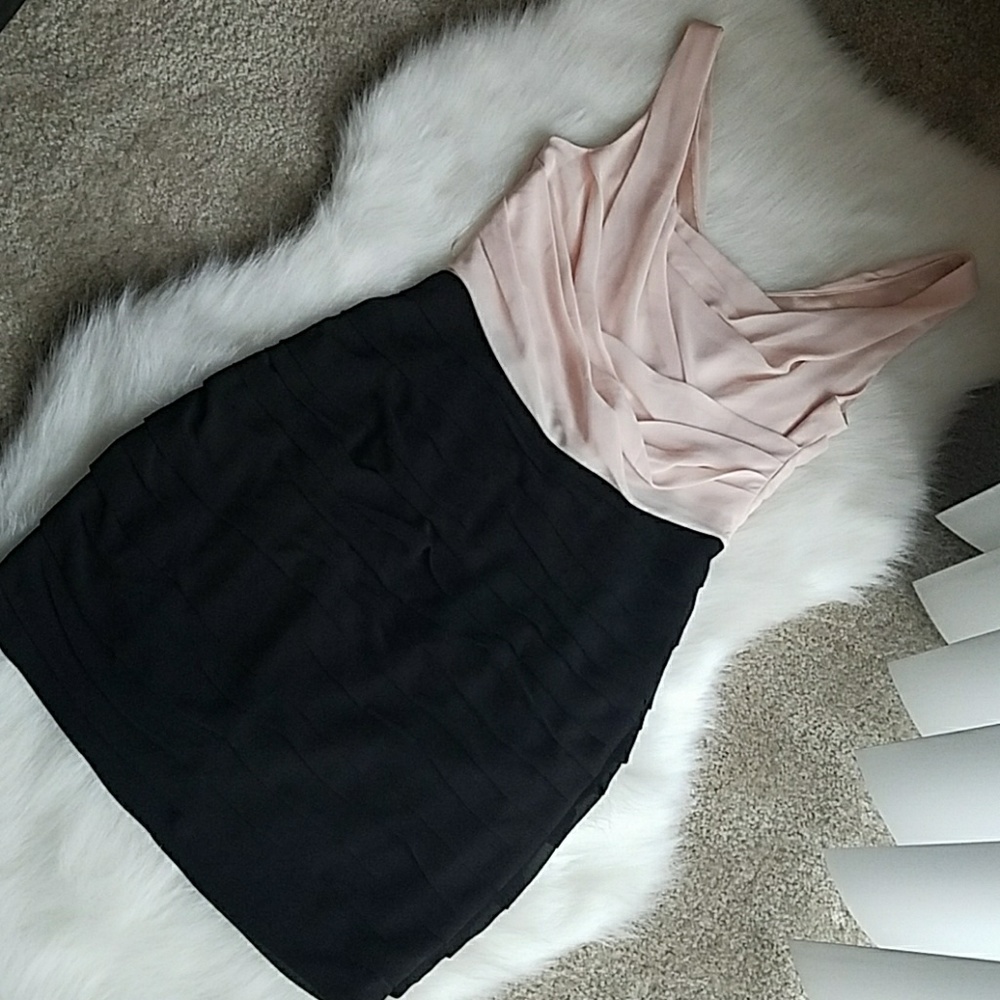 Chiffon blush and black Dress NWOT